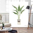 Green House Plants III by Farida Zaman on GIANT ART - botanical gray