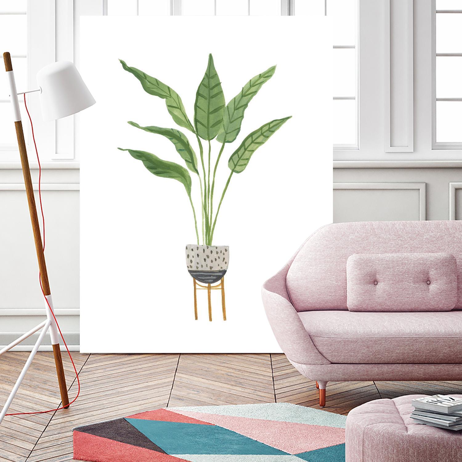 Green House Plants III by Farida Zaman on GIANT ART - botanical gray