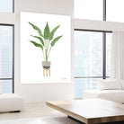 Green House Plants III by Farida Zaman on GIANT ART - botanical gray