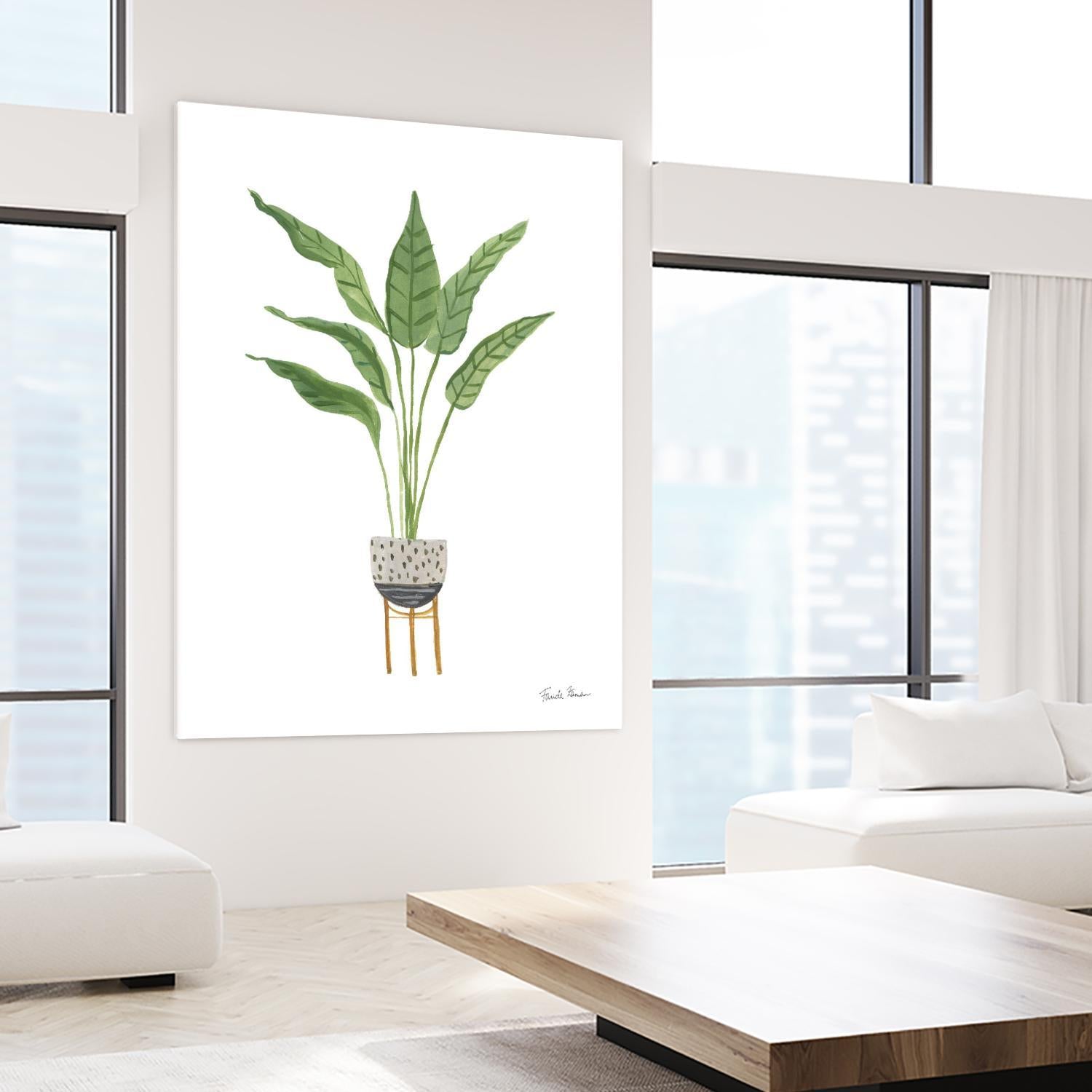 Green House Plants III by Farida Zaman on GIANT ART - botanical gray