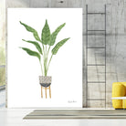Green House Plants III by Farida Zaman on GIANT ART - botanical gray