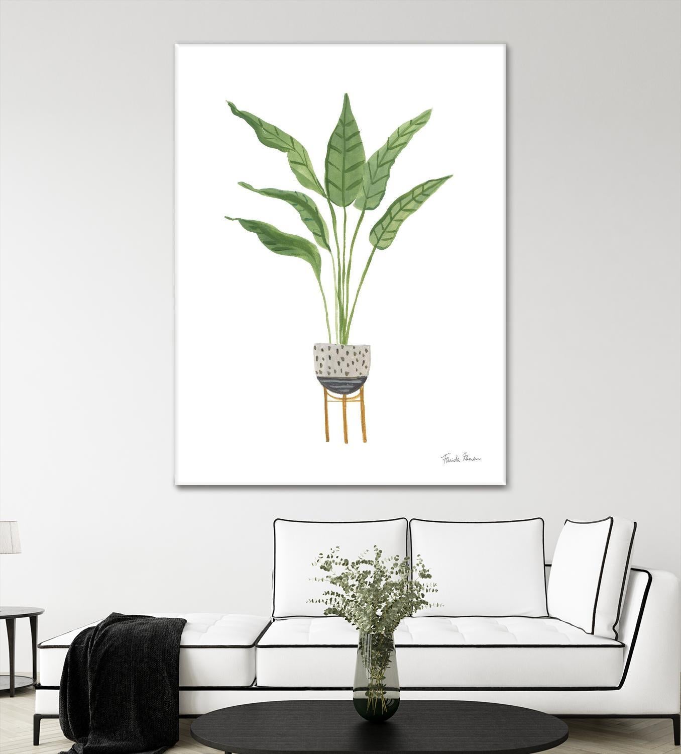 Green House Plants III by Farida Zaman on GIANT ART - botanical gray