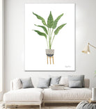 Green House Plants III by Farida Zaman on GIANT ART - botanical gray