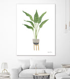 Green House Plants III by Farida Zaman on GIANT ART - botanical gray