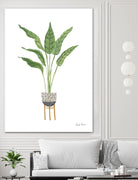Green House Plants III by Farida Zaman on GIANT ART - botanical gray