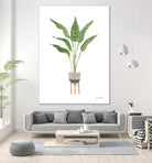Green House Plants III by Farida Zaman on GIANT ART - botanical gray
