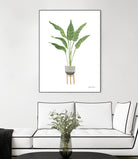 Green House Plants III by Farida Zaman on GIANT ART - botanical gray