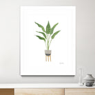 Green House Plants III by Farida Zaman on GIANT ART - botanical gray
