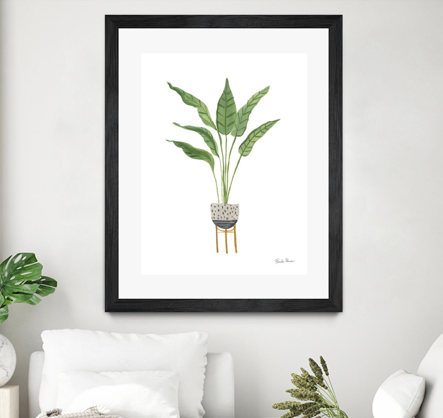 Green House Plants III by Farida Zaman on GIANT ART - botanical gray