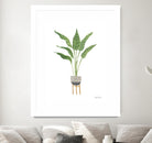 Green House Plants III by Farida Zaman on GIANT ART - botanical gray