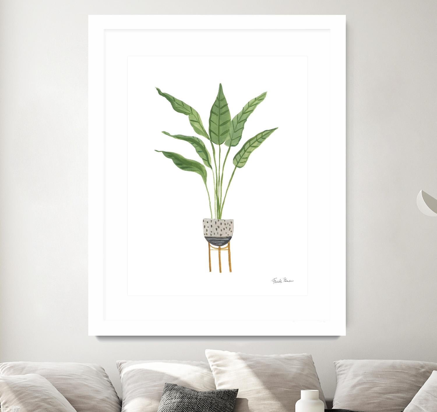Green House Plants III by Farida Zaman on GIANT ART - botanical gray