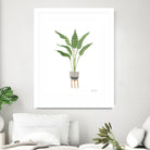 Green House Plants III by Farida Zaman on GIANT ART - botanical gray