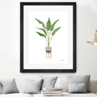 Green House Plants III by Farida Zaman on GIANT ART - botanical gray