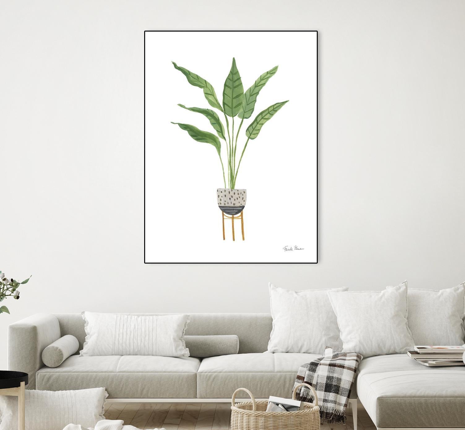 Green House Plants III by Farida Zaman on GIANT ART - botanical gray