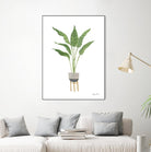 Green House Plants III by Farida Zaman on GIANT ART - botanical gray