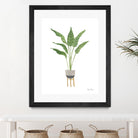 Green House Plants III by Farida Zaman on GIANT ART - botanical gray