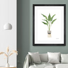 Green House Plants III by Farida Zaman on GIANT ART - botanical gray