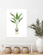 Green House Plants III by Farida Zaman on GIANT ART - botanical gray