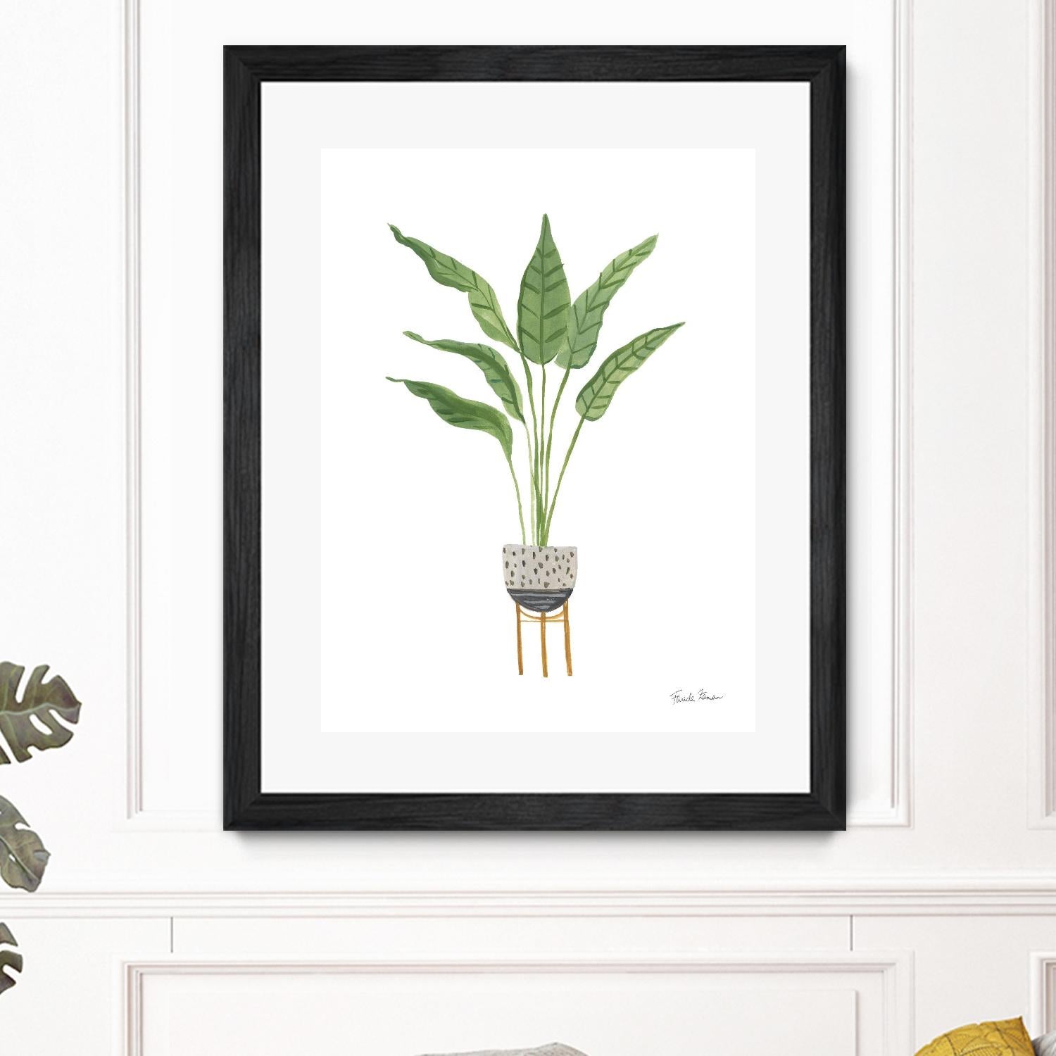 Green House Plants III by Farida Zaman on GIANT ART - botanical gray