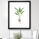 Green House Plants III by Farida Zaman on GIANT ART - botanical gray