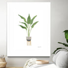 Green House Plants III by Farida Zaman on GIANT ART - botanical gray