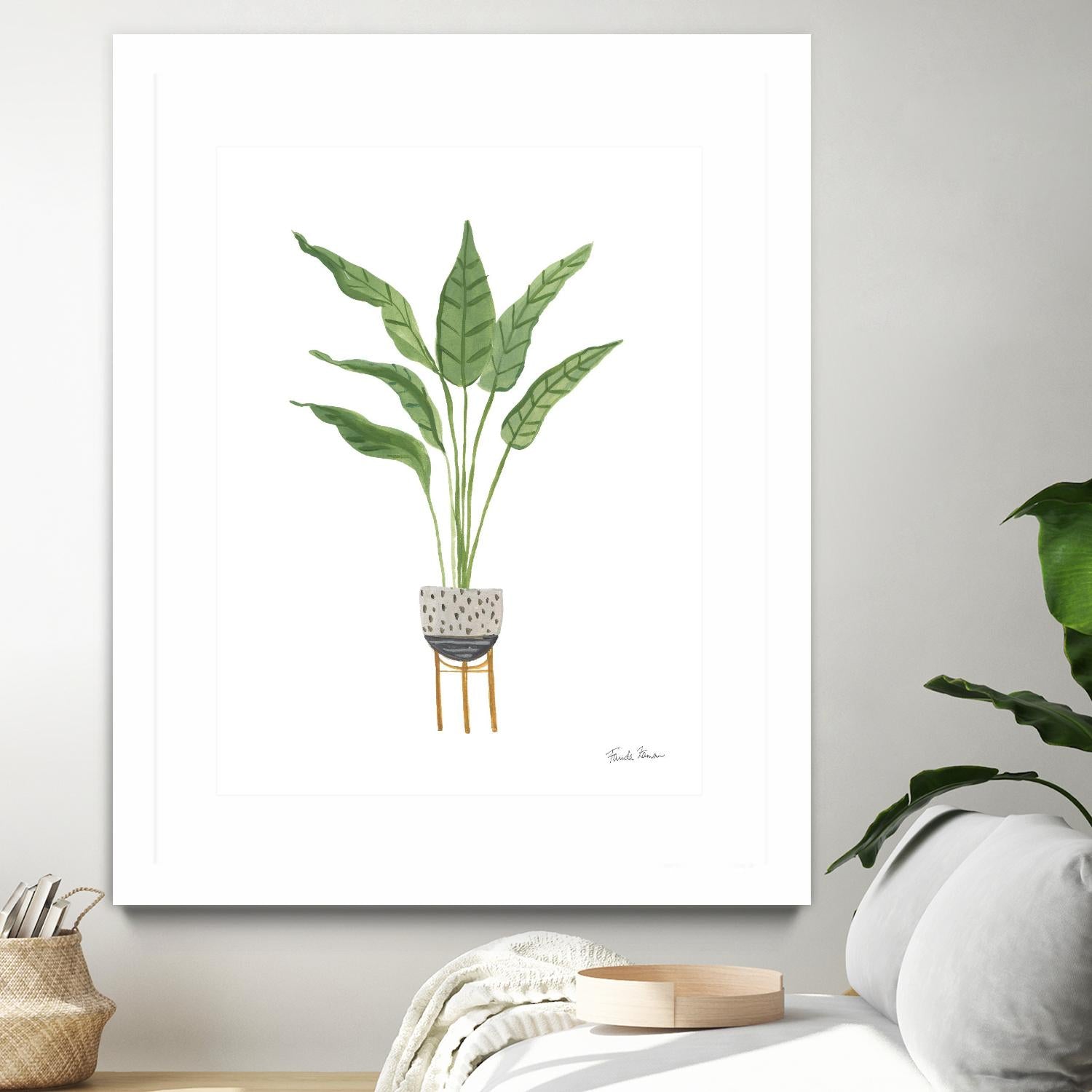 Green House Plants III by Farida Zaman on GIANT ART - botanical gray