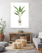 Green House Plants III by Farida Zaman on GIANT ART - botanical gray