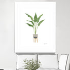 Green House Plants III by Farida Zaman on GIANT ART - botanical gray