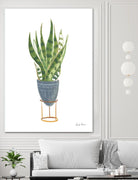 Green House Plants IV by Farida Zaman on GIANT ART - botanical gray