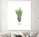 Green House Plants IV by Farida Zaman on GIANT ART - green botanical illustrative