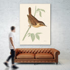 Engraved Birds I by Wild Apple Portfolio on GIANT ART - animals animal