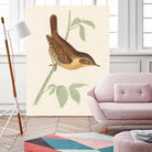 Engraved Birds I by Wild Apple Portfolio on GIANT ART - animals animal