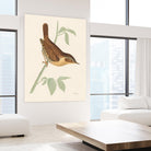 Engraved Birds I by Wild Apple Portfolio on GIANT ART - animals animal