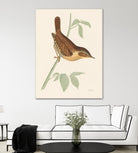 Engraved Birds I by Wild Apple Portfolio on GIANT ART - animals animal
