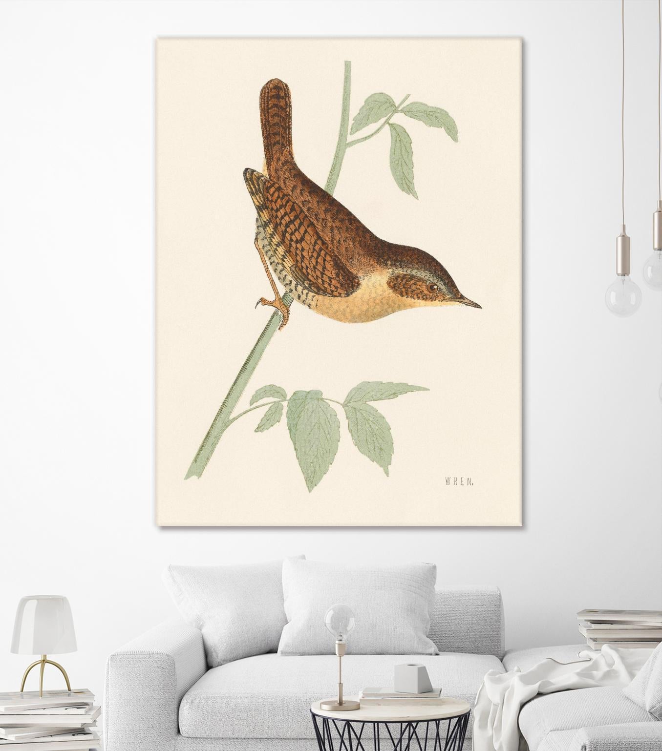 Engraved Birds I by Wild Apple Portfolio on GIANT ART - animals animal