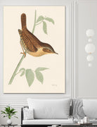 Engraved Birds I by Wild Apple Portfolio on GIANT ART - animals animal