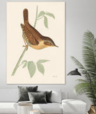 Engraved Birds I by Wild Apple Portfolio on GIANT ART - animals animal