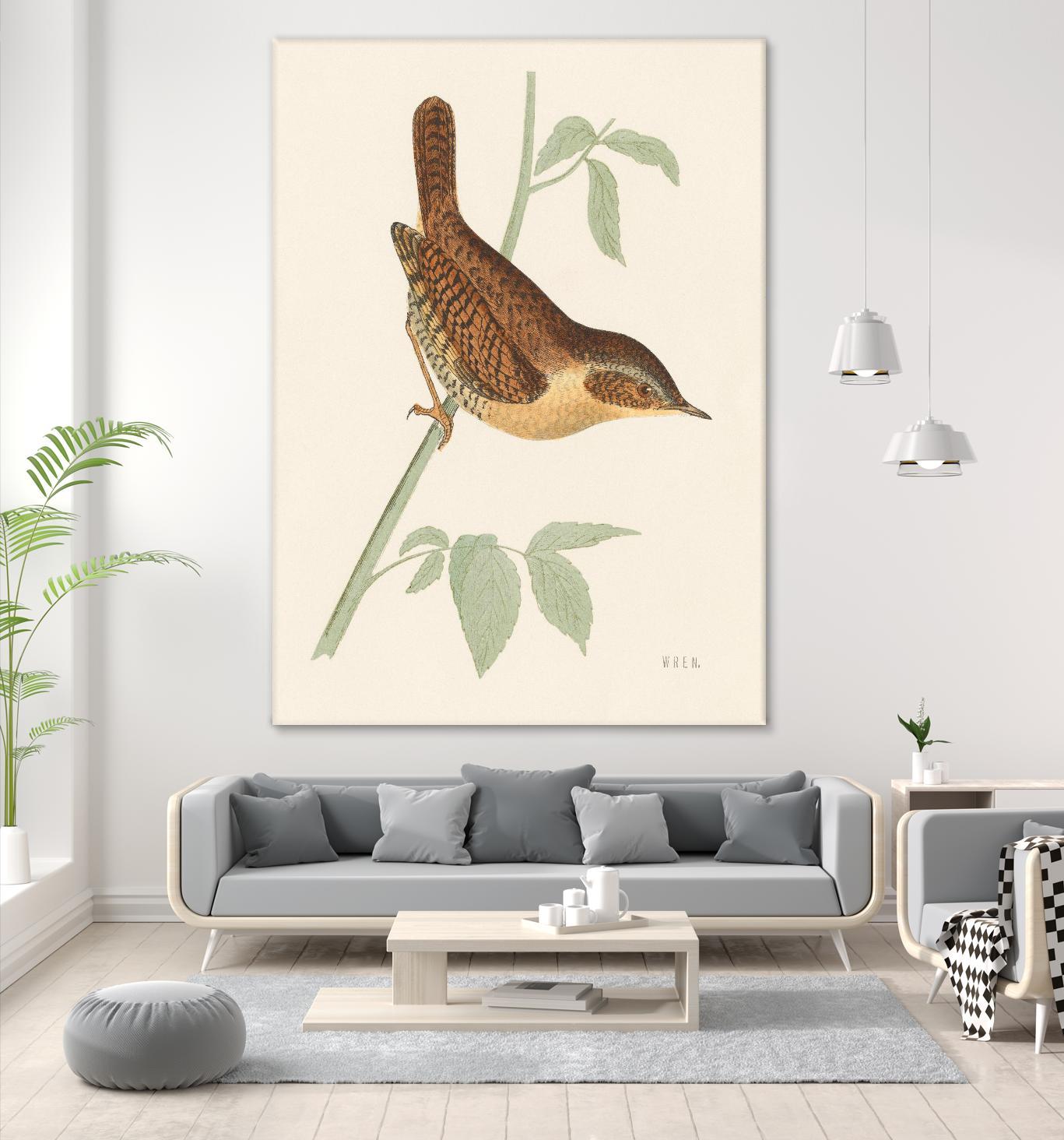 Engraved Birds I by Wild Apple Portfolio on GIANT ART - animals animal