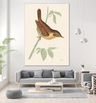 Engraved Birds I by Wild Apple Portfolio on GIANT ART - animals animal