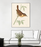 Engraved Birds I by Wild Apple Portfolio on GIANT ART - animals animal