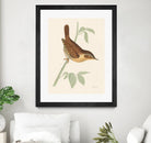 Engraved Birds I by Wild Apple Portfolio on GIANT ART - animals animal
