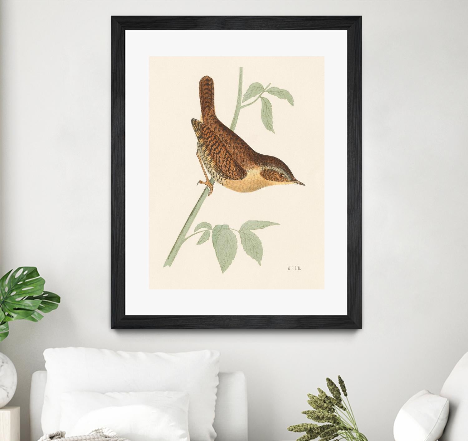 Engraved Birds I by Wild Apple Portfolio on GIANT ART - animals animal