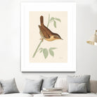 Engraved Birds I by Wild Apple Portfolio on GIANT ART - animals animal