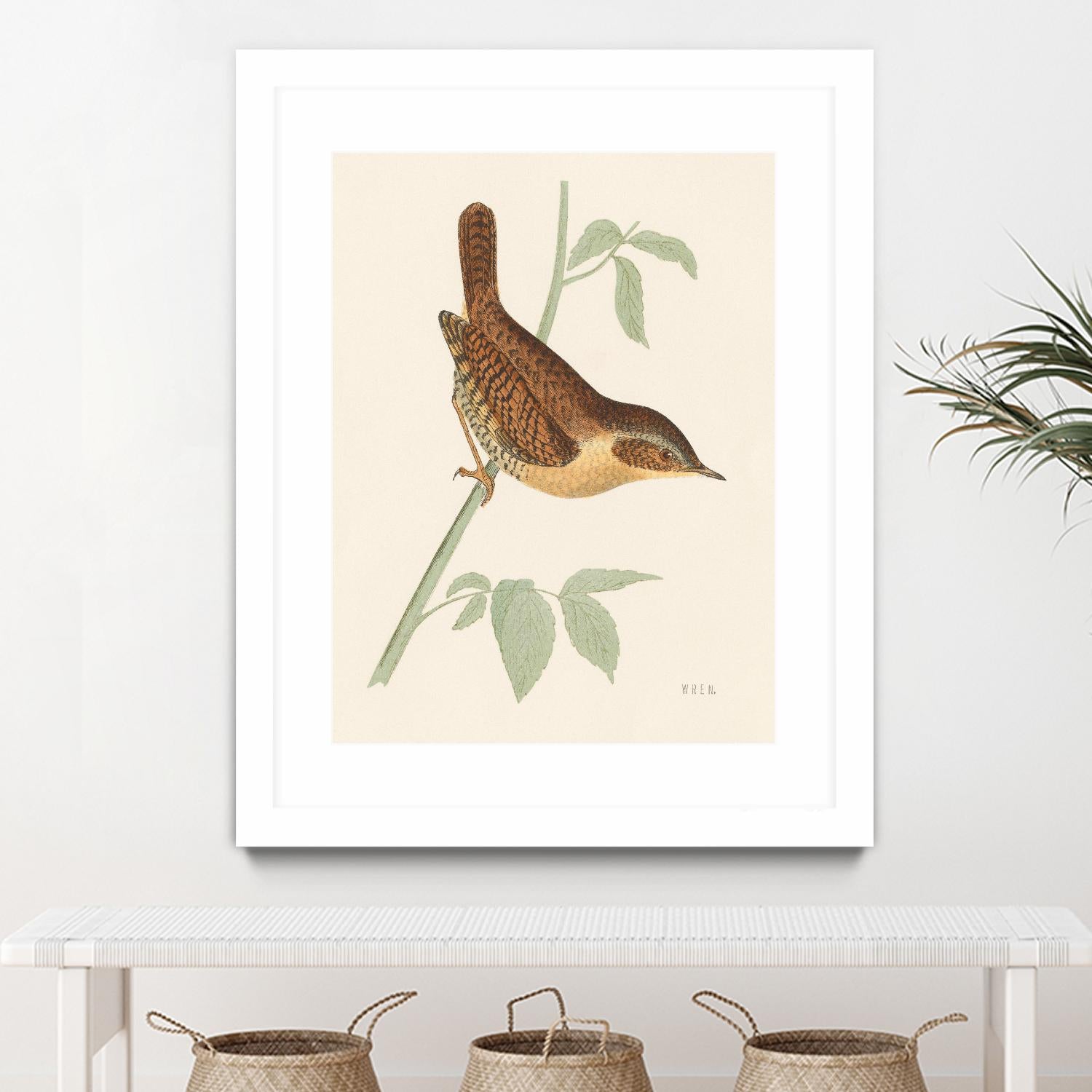 Engraved Birds I by Wild Apple Portfolio on GIANT ART - animals animal