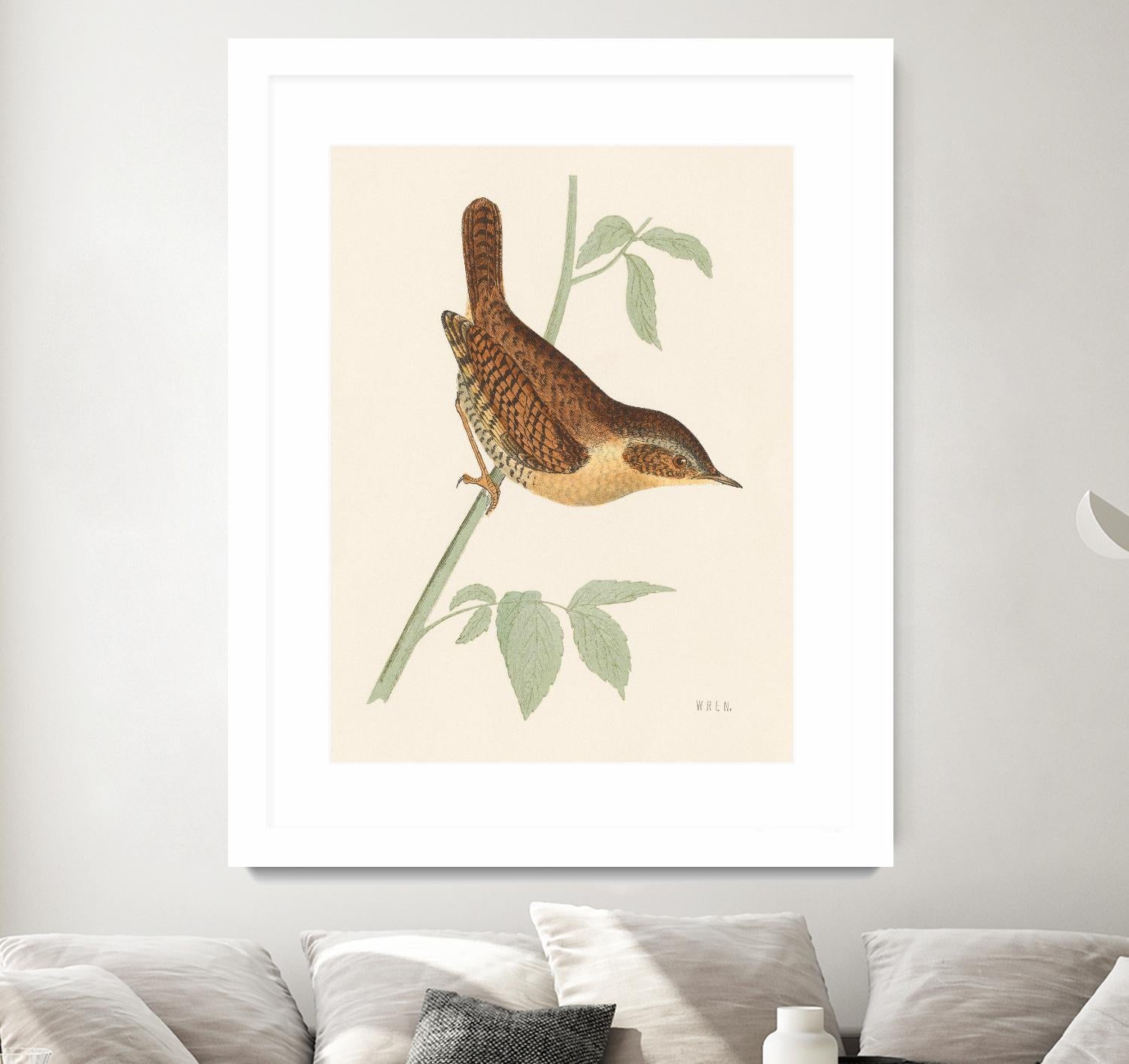 Engraved Birds I by Wild Apple Portfolio on GIANT ART - animals animal