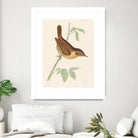 Engraved Birds I by Wild Apple Portfolio on GIANT ART - animals animal