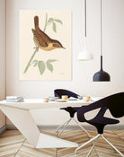 Engraved Birds I by Wild Apple Portfolio on GIANT ART - animals animal