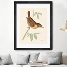 Engraved Birds I by Wild Apple Portfolio on GIANT ART - animals animal