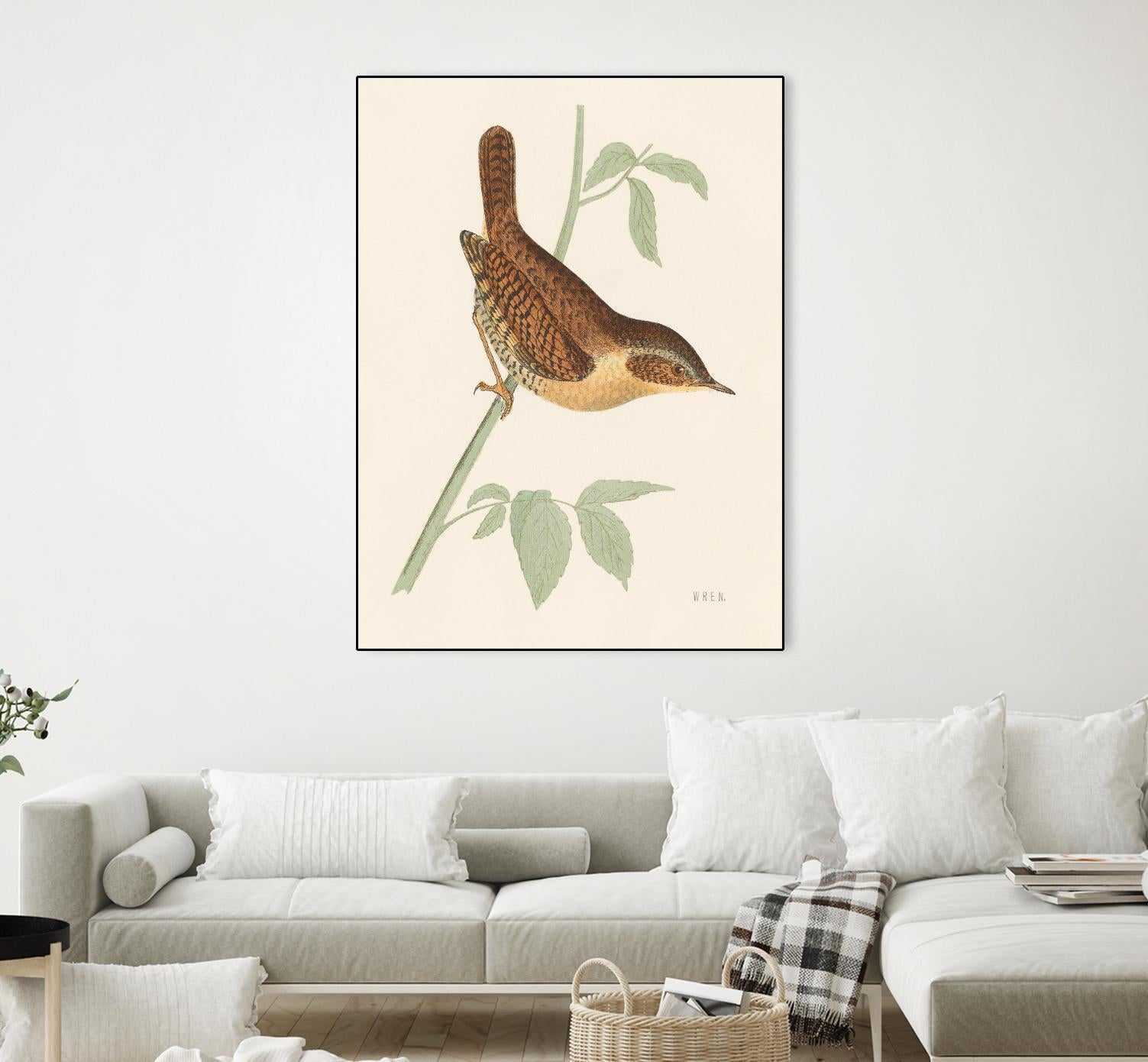 Engraved Birds I by Wild Apple Portfolio on GIANT ART - animals animal