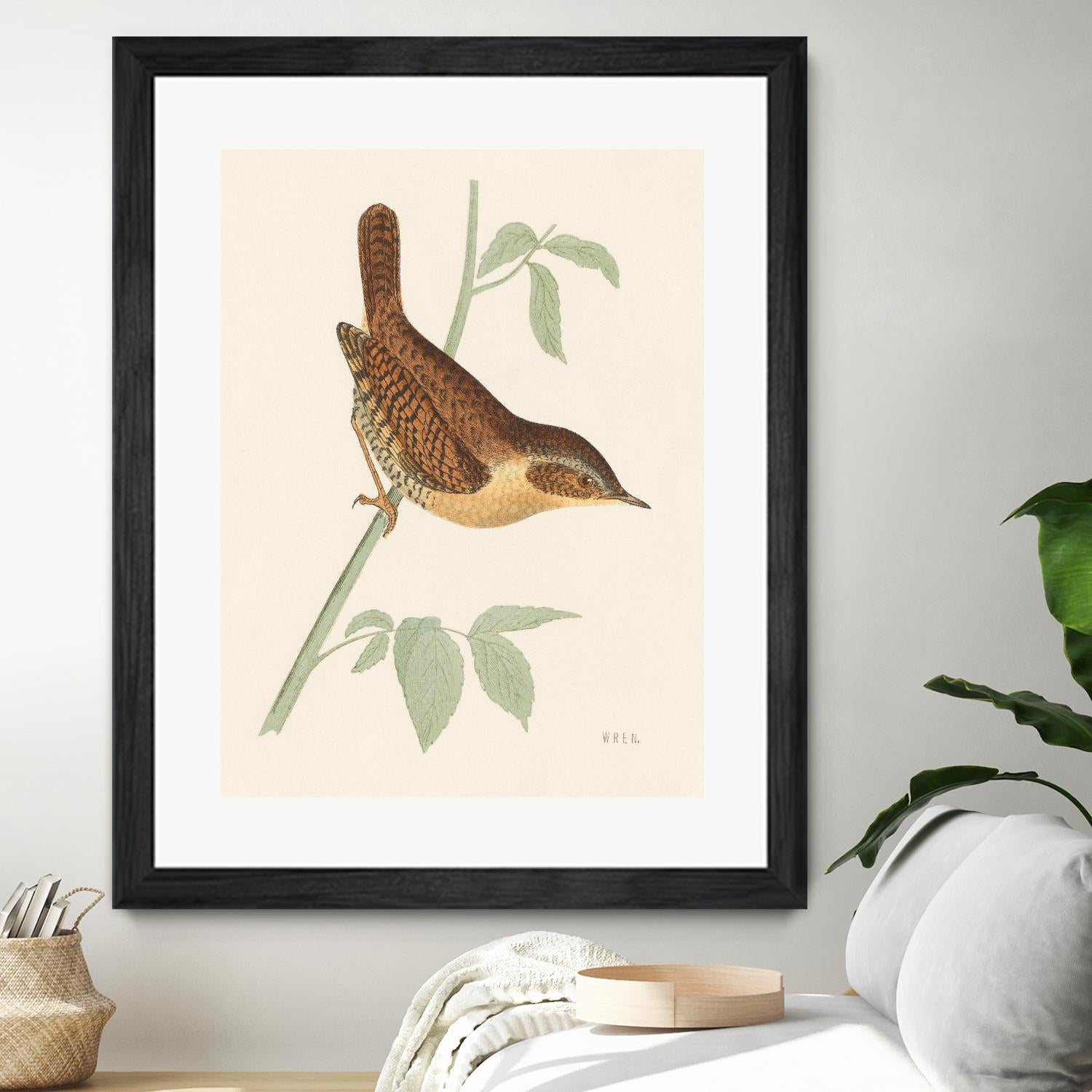 Engraved Birds I by Wild Apple Portfolio on GIANT ART - animals animal